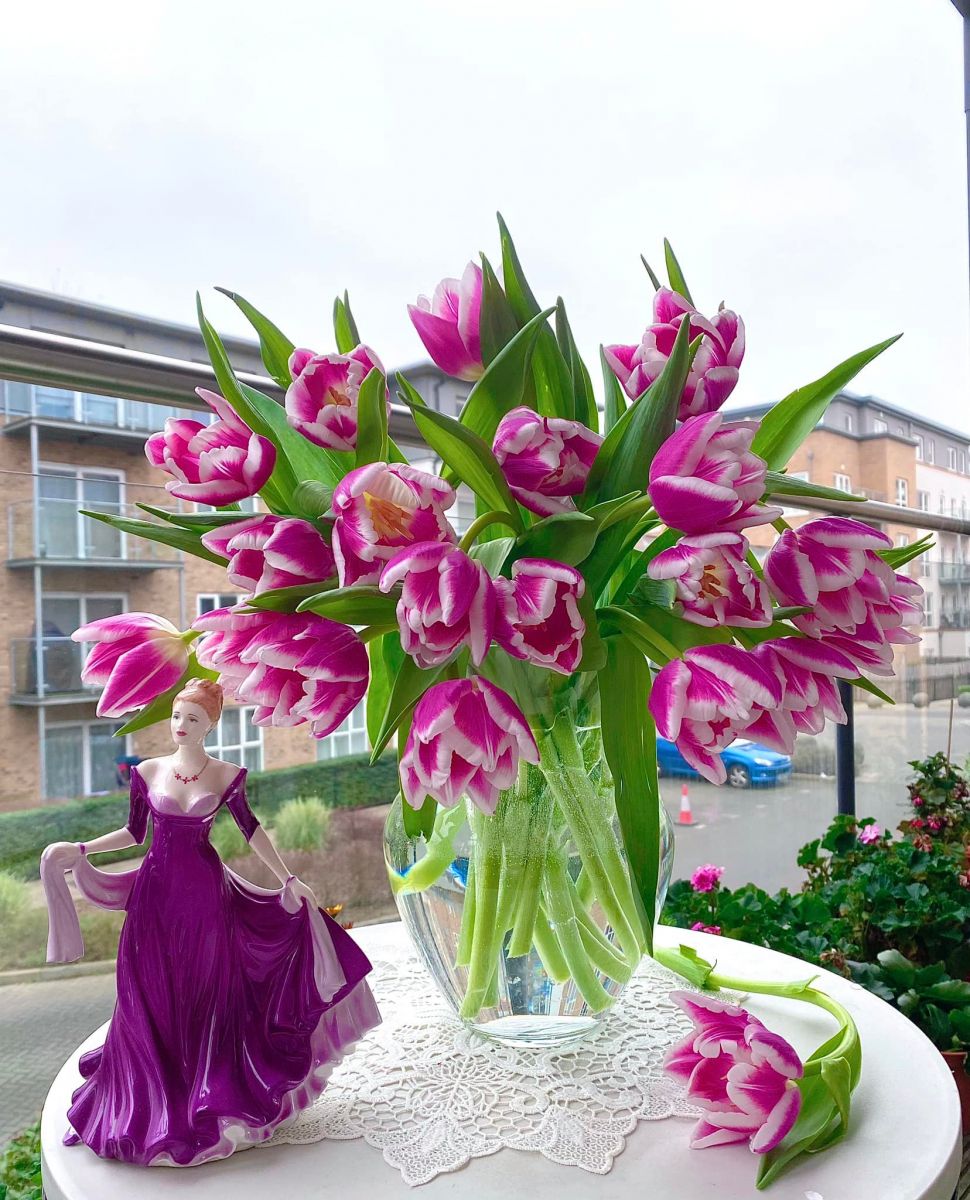 Tử vi ngày 4/3/2022 của 12 cung hoàng đạo